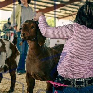 Meet your Posher, Brylie